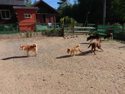 f:id:roukenhome-ann:20190808214030j:plain