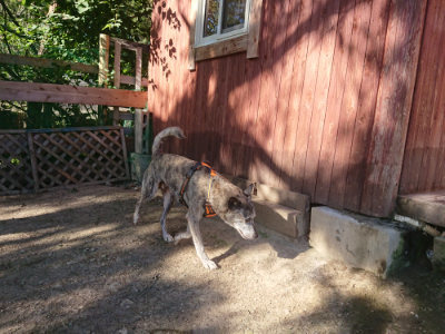 f:id:roukenhome-ann:20190808214039j:plain
