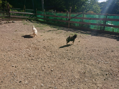 f:id:roukenhome-ann:20190808214101j:plain