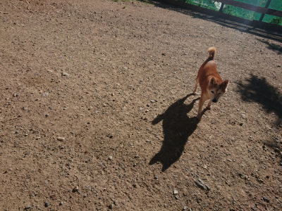 f:id:roukenhome-ann:20190808214144j:plain