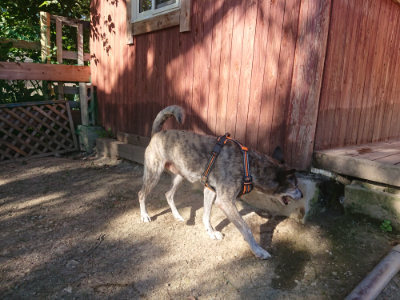 f:id:roukenhome-ann:20190808214225j:plain