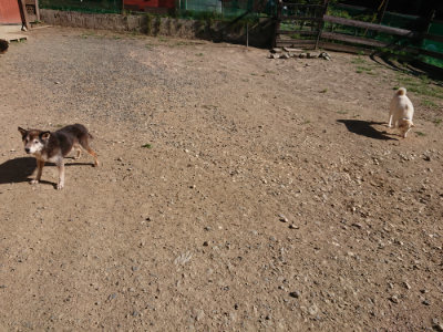 f:id:roukenhome-ann:20190808214231j:plain