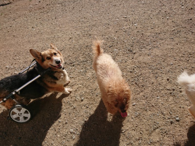 f:id:roukenhome-ann:20190808214347j:plain