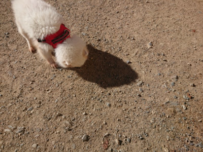 f:id:roukenhome-ann:20190808214415j:plain