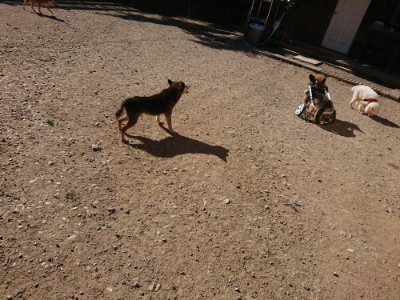 f:id:roukenhome-ann:20190808214438j:plain