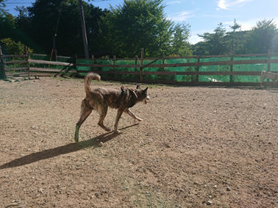 f:id:roukenhome-ann:20190808214455j:plain