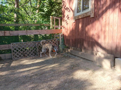 f:id:roukenhome-ann:20190808214521j:plain