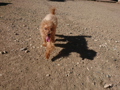 f:id:roukenhome-ann:20190808214739j:plain