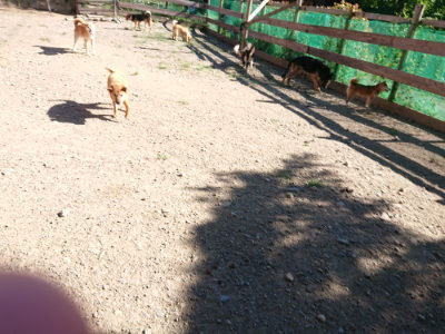 f:id:roukenhome-ann:20190808214824j:plain