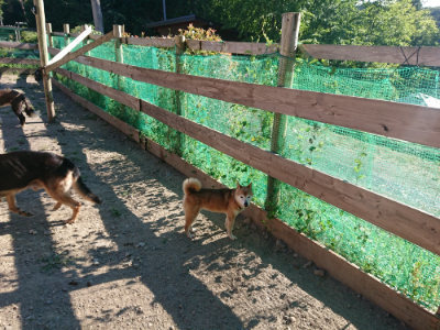 f:id:roukenhome-ann:20190808214851j:plain