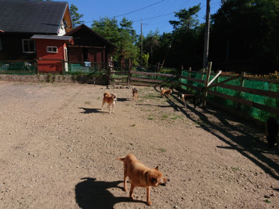 f:id:roukenhome-ann:20190808214922j:plain