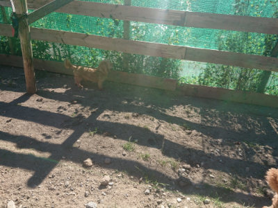 f:id:roukenhome-ann:20190808215059j:plain