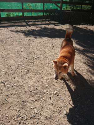f:id:roukenhome-ann:20190808215318j:plain