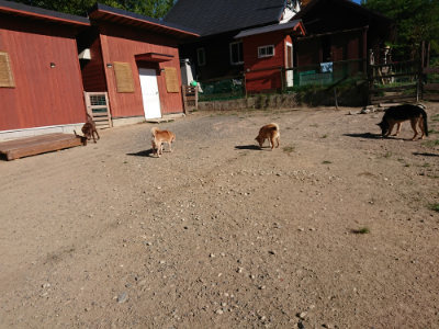 f:id:roukenhome-ann:20190808215356j:plain