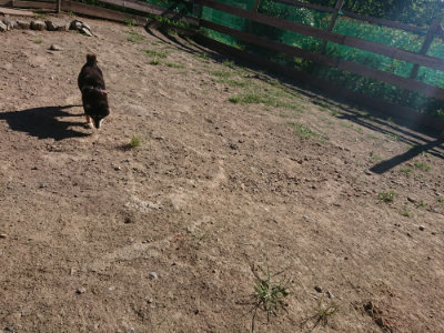 f:id:roukenhome-ann:20190808215404j:plain