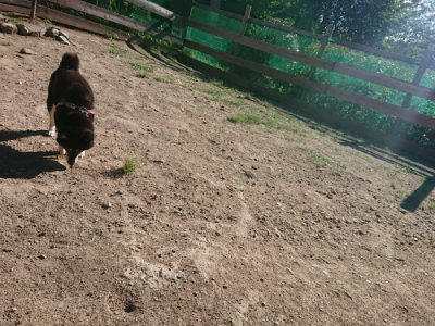 f:id:roukenhome-ann:20190808215430j:plain