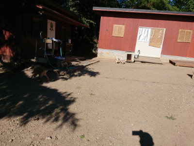 f:id:roukenhome-ann:20190808215439j:plain