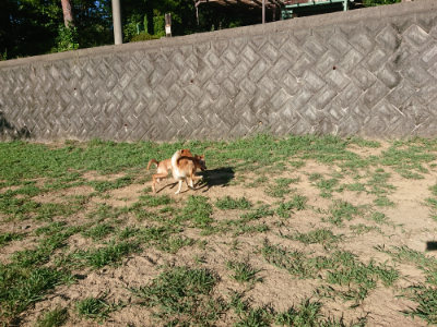 f:id:roukenhome-ann:20190808221605j:plain