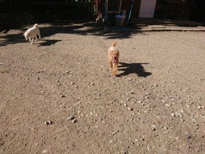 f:id:roukenhome-ann:20190808221650j:plain