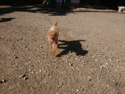 f:id:roukenhome-ann:20190808221655j:plain