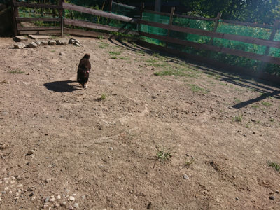 f:id:roukenhome-ann:20190808221827j:plain