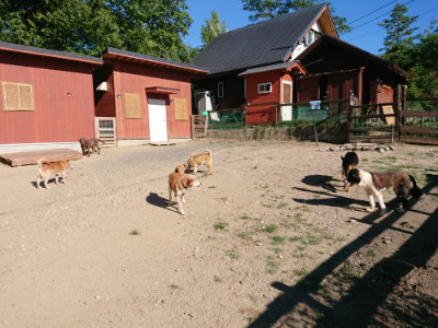 f:id:roukenhome-ann:20190808221833j:plain