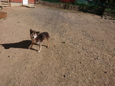 f:id:roukenhome-ann:20190808221843j:plain