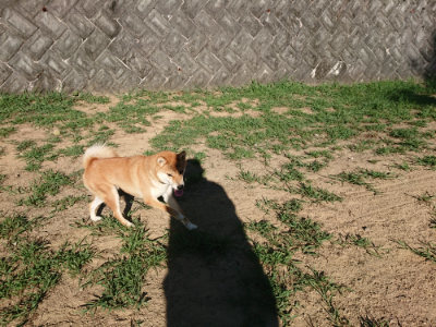 f:id:roukenhome-ann:20190808222112j:plain