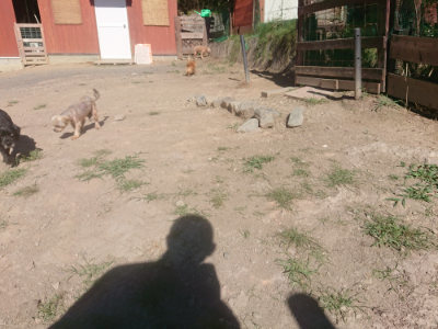 f:id:roukenhome-ann:20190808222709j:plain