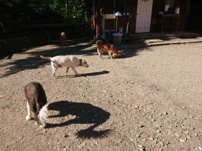 f:id:roukenhome-ann:20190808222825j:plain