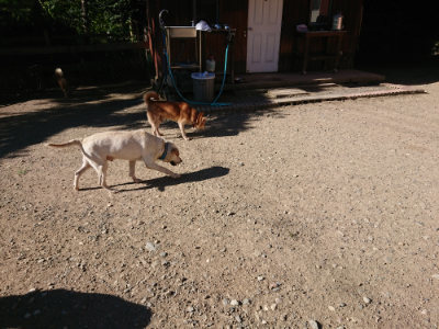f:id:roukenhome-ann:20190808222831j:plain
