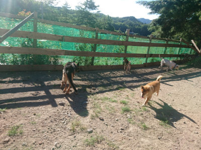 f:id:roukenhome-ann:20190808222838j:plain