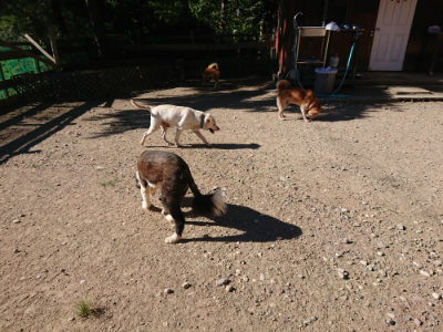 f:id:roukenhome-ann:20190808222850j:plain