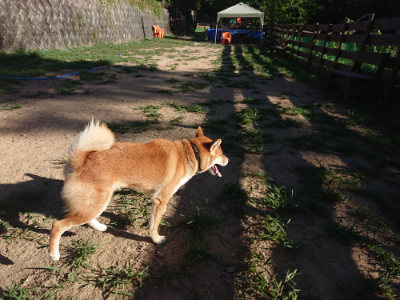 f:id:roukenhome-ann:20190808222921j:plain