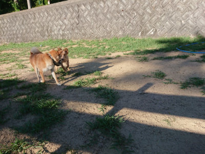f:id:roukenhome-ann:20190808223005j:plain