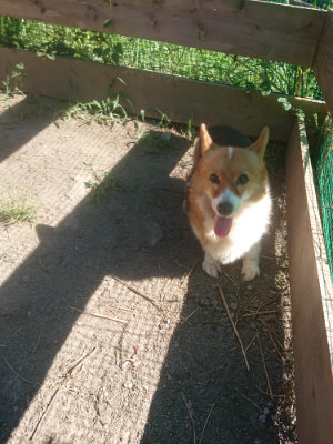 f:id:roukenhome-ann:20190808223030j:plain
