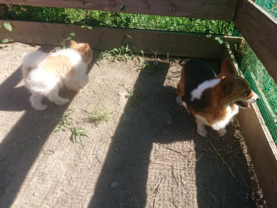 f:id:roukenhome-ann:20190808223054j:plain