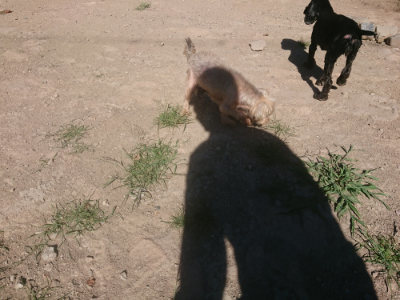 f:id:roukenhome-ann:20190808223108j:plain
