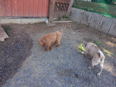 f:id:roukenhome-ann:20190809054234j:plain f:id:roukenhome-ann:20190809054234j:plain