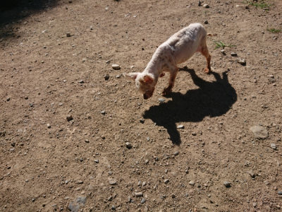 f:id:roukenhome-ann:20190809070344j:plain f:id:roukenhome-ann:20190809070344j:plain