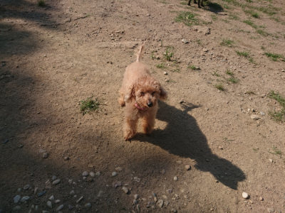f:id:roukenhome-ann:20190811144937j:plain