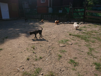 f:id:roukenhome-ann:20190811145040j:plain