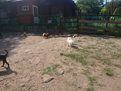 f:id:roukenhome-ann:20190811145045j:plain