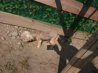 f:id:roukenhome-ann:20190811145127j:plain