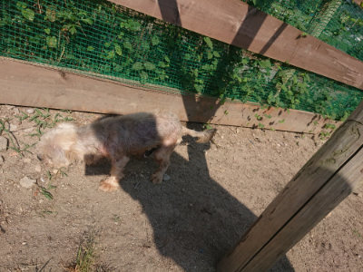 f:id:roukenhome-ann:20190811145136j:plain