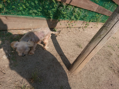 f:id:roukenhome-ann:20190811145143j:plain