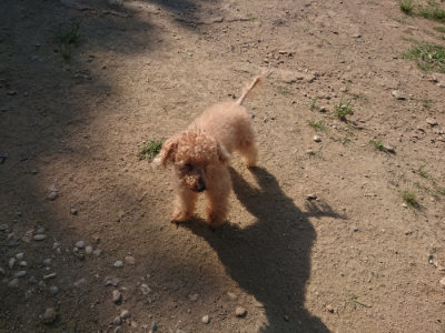f:id:roukenhome-ann:20190811145352j:plain