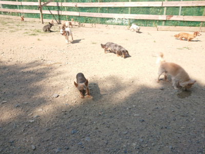 f:id:roukenhome-ann:20190811145359j:plain