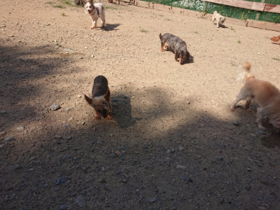 f:id:roukenhome-ann:20190811145420j:plain
