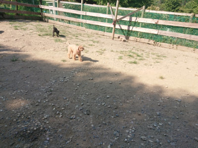 f:id:roukenhome-ann:20190811145442j:plain